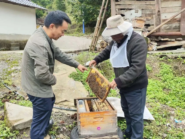 贵州正安:林下养殖蹚出生态致富新路子_fororder_3