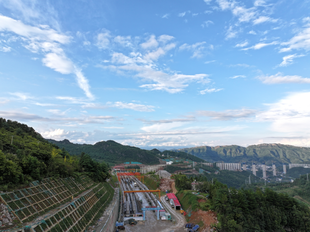 来自安盘高速建设工地的报道丨巨龙穿越“花木树”