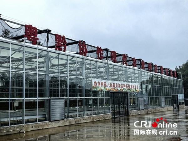 粤贵花开在黔南 | 2025年“粤港澳大湾区媒体黔南行”主题宣传报道活动启动_fororder_图片2