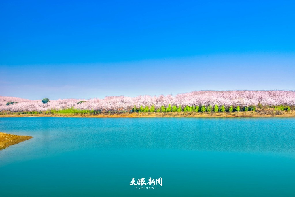 三月的贵州:是被春天打翻的调色盘_fororder_dD0xNzczODE4MjM2X3I9NGFmOTU0ZTdfdz0xMDgwX3E9MTAwX2U9anBn