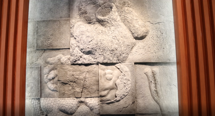 8万件文物+3万件化石 文化IP既“吸睛”又“圈粉”