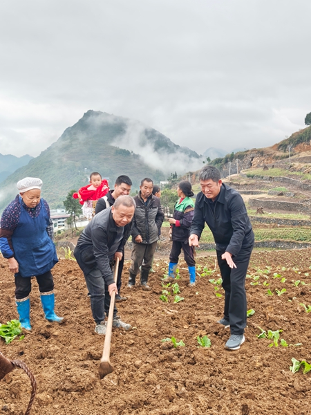 贵州仁怀:30万亩冬闲田不闲 “高粱+”轮作土地生金_fororder_仁怀市各地还组织农技专家深入田间地头,开展全周期技术指导服务