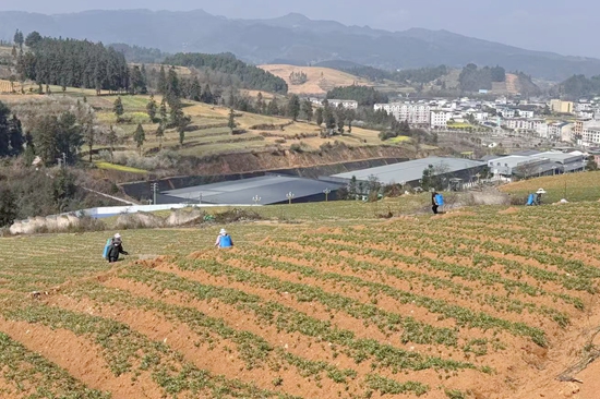 从田间到仓库 贵州邮储银行助力金融“跑”在农时前头_fororder_邮储1