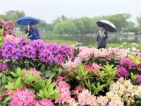 花绽京华 茶韵流芳，贵州在京奏响文化“三重奏”