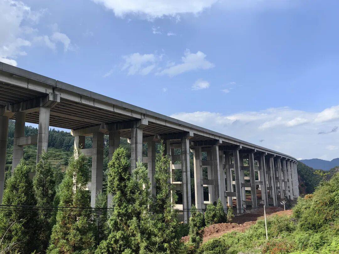 来自安盘高速建设工地的报道丨巨龙穿越“花木树”