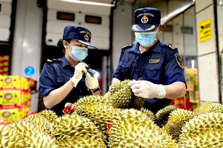 东兴口岸二桥货运繁忙 中越跨境贸易活力迸发_fororder_4