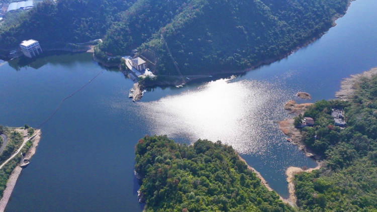 桂林灵川:“鸟中大熊猫”中华秋沙鸭现身青狮潭_fororder_3