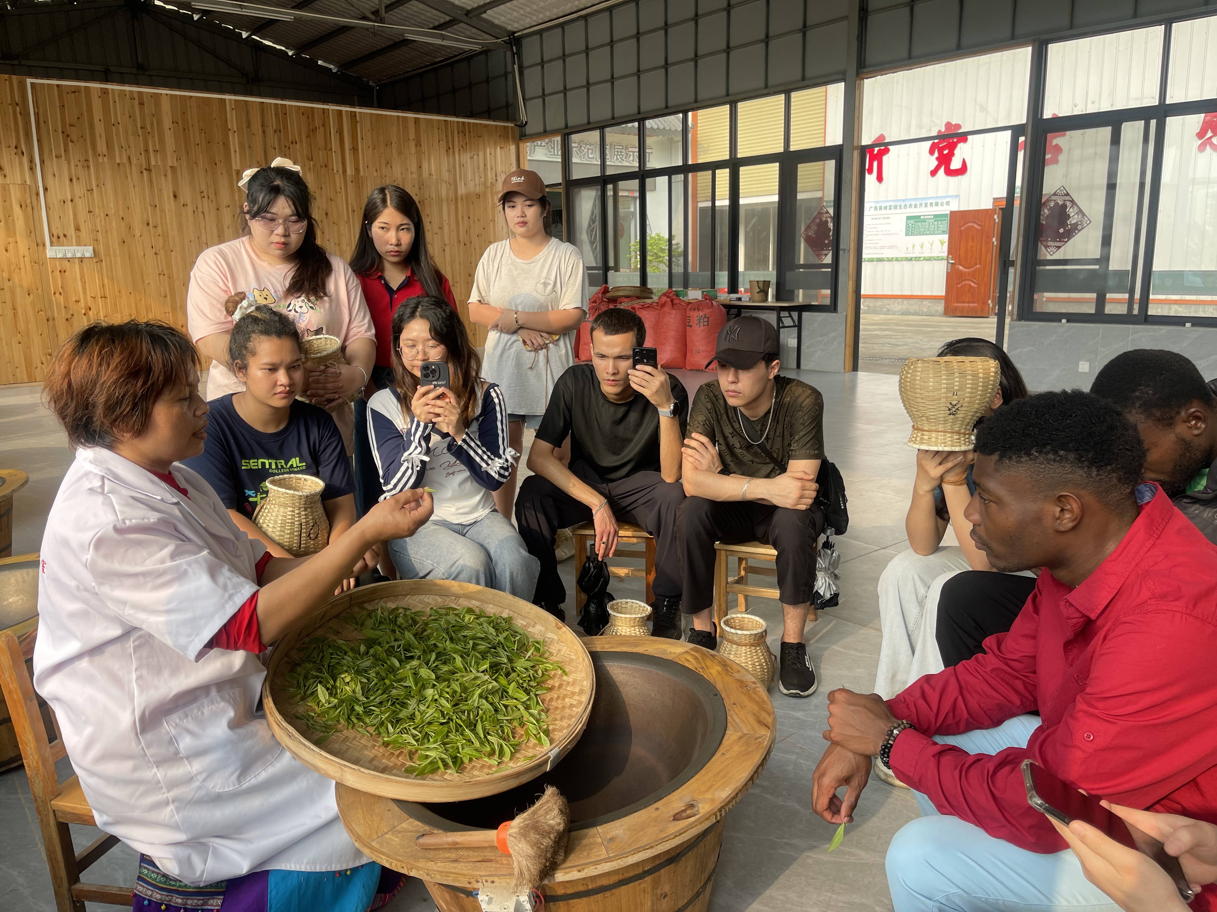 广西兴业县举办茶文化主题系列活动吸引游客_fororder_微信图片_20250430110106