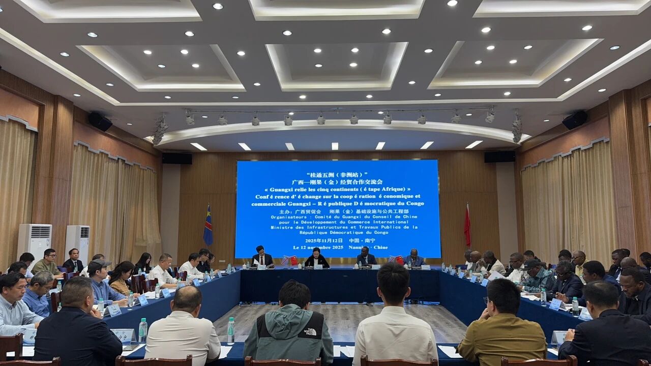 “桂通五洲(非洲站)”广西—刚果(金)经贸合作交流会在南宁举办_fororder_1