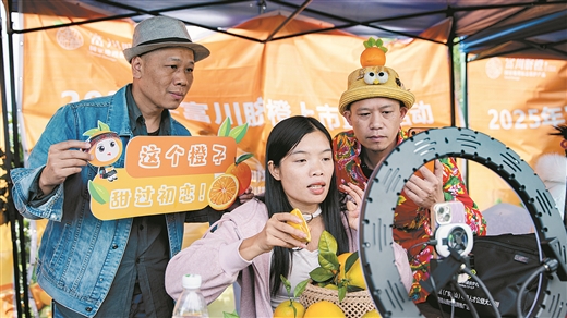 田间直播带火富川脐橙_fororder_9006338_hhb_1762497505634_b