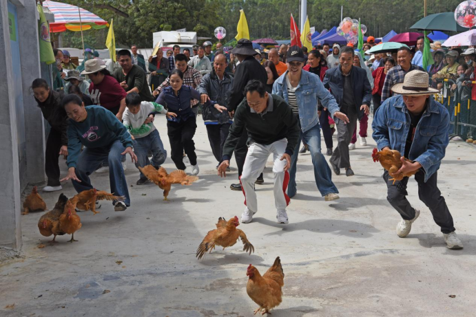广西上林县举行庆祝中国农民丰收节系列活动_fororder_2025年上林县农民丰收节激情启幕670