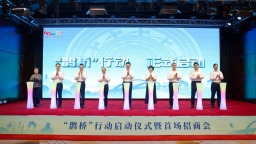 广西举办“鹊桥”行动启动仪式暨首场招商会 搭建文旅资源与运营合作对接平台