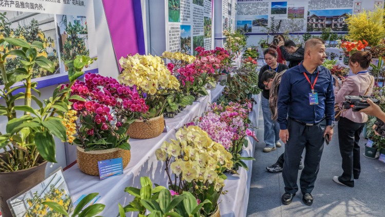 60多万盆花卉苗木在桂林集中展出_fororder_3