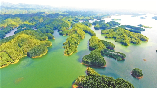 保亿亩林木,护一方生态_fororder_8963065_wjz_1760585914427_b