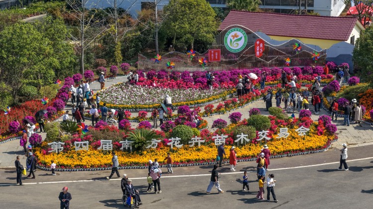 60多万盆花卉苗木在桂林集中展出_fororder_1