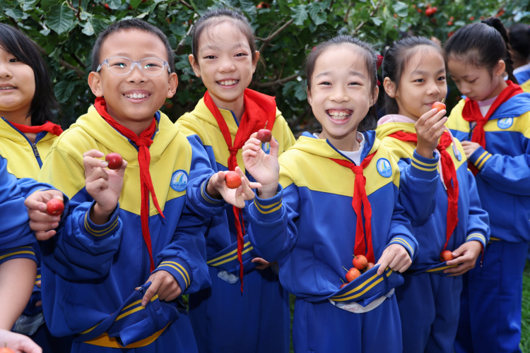 沧州市运河区:劳动启航成长路 实践育人树品德_fororder_图片2