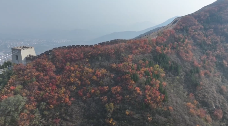 石家庄市鹿泉区:来西部长青看万山红遍、层林尽染_fororder_图片3