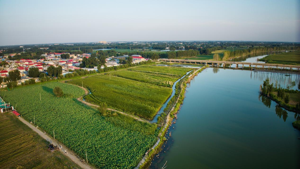 河北高阳:乡村游 点燃夏日经济新动能_fororder_图片11