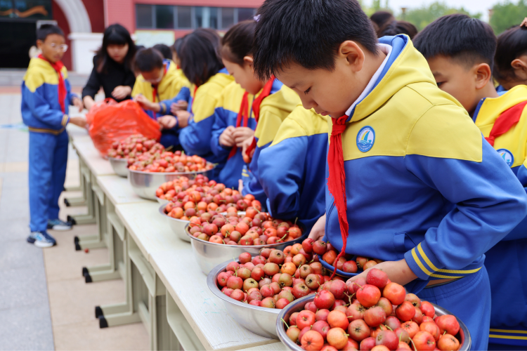沧州市运河区:劳动启航成长路 实践育人树品德_fororder_图片3