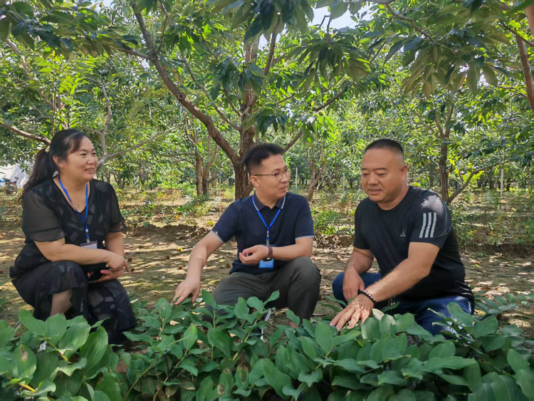 遵化:监督盘活资源 培育林下经济“新动能”_fororder_图片1