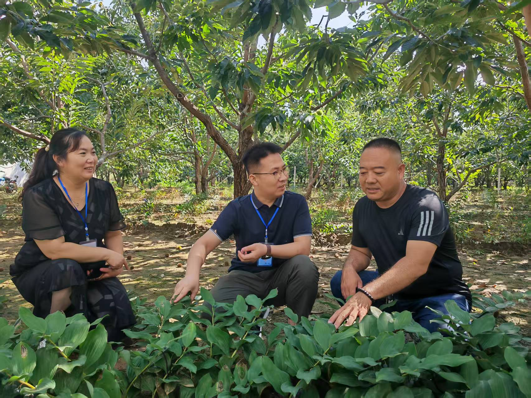 遵化:监督盘活资源 培育林下经济“新动能”_fororder_图片1