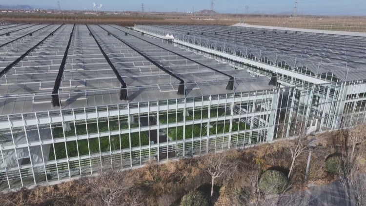 图片默认标题_fororder_image003