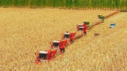 黑龙江省秋收基本结束_fororder_u=2786327960,444124880&fm=253&fmt=auto&app=138&f=JPEG