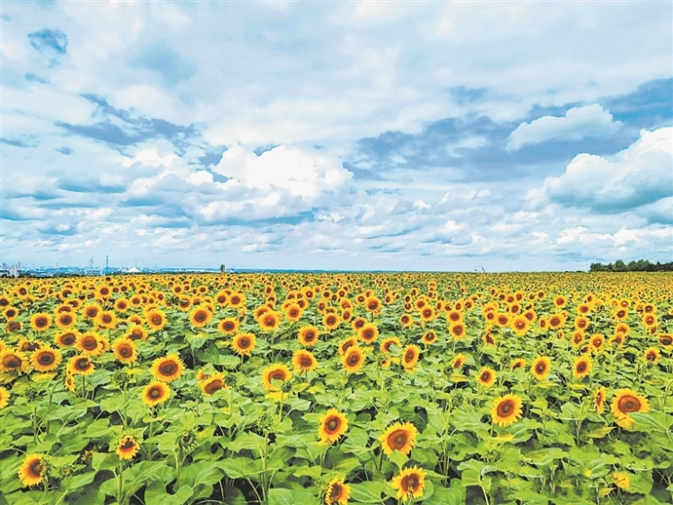 阿城 农文旅“共舞”山水间