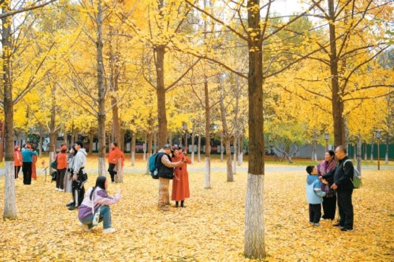 这就是文化传承最美妙的方式_fororder_微信图片_20251113085245_782_356