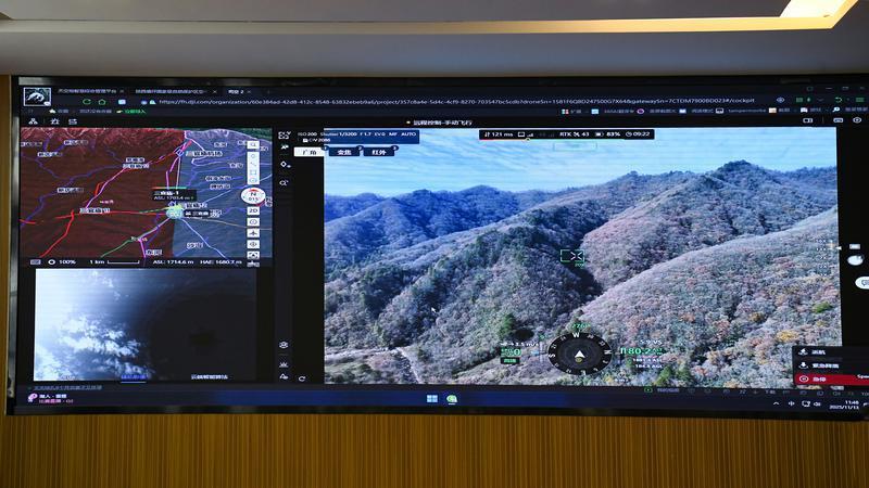 世间最动人的相遇 秦岭深处邂逅野生大熊猫