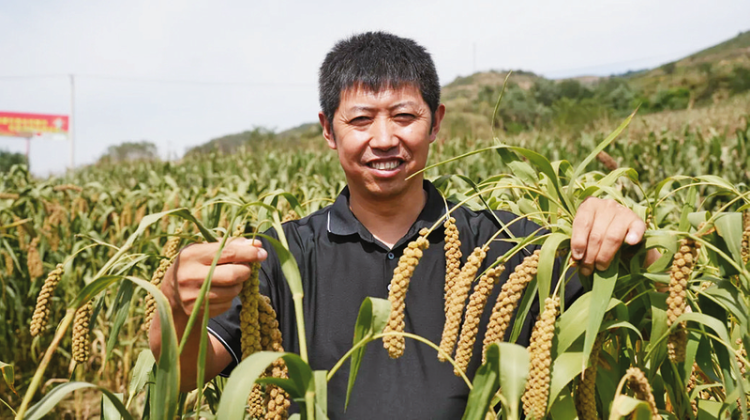 他让“土疙瘩”变身“香饽饽”_fororder_bd71b63838526be5d86cb1682d2e76c8_img_364_483_249_139