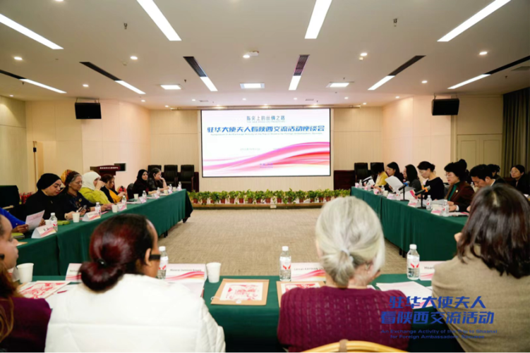 乡村分享、医疗座谈、妇女论坛 13国驻华大使夫人在西安关注了什么?_fororder_图片14