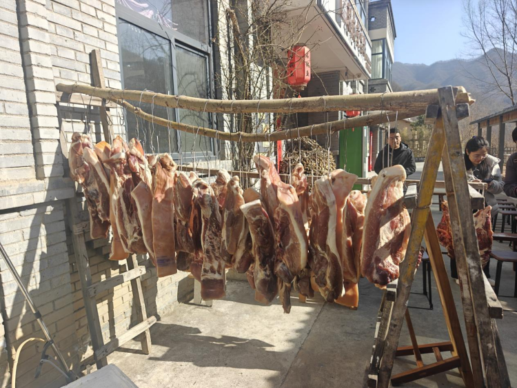 新春走基层丨从“绿水青山愁”到“生态富村乐” 商洛市柞水县朱家湾村的生态致富路_fororder_图片4