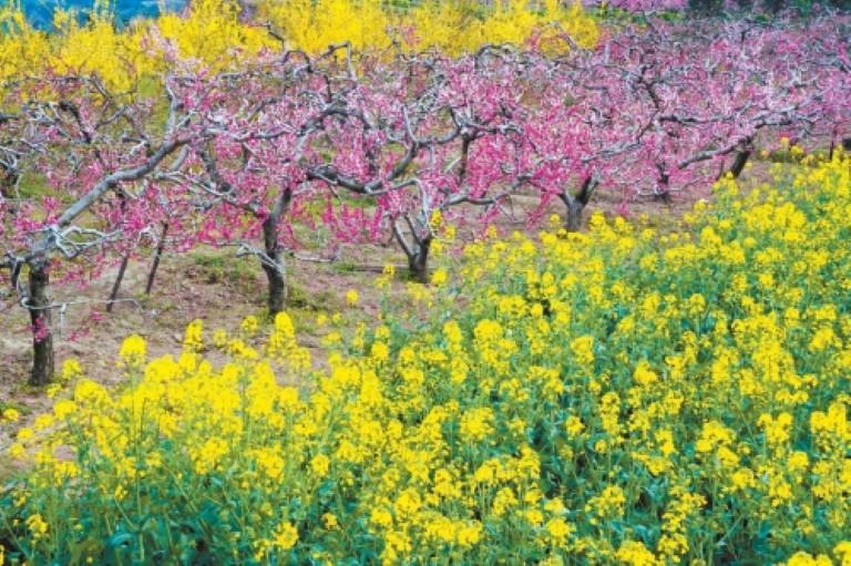 今天,你“Color Walk”了吗?_fororder_微信图片_20260402091211_1600_356