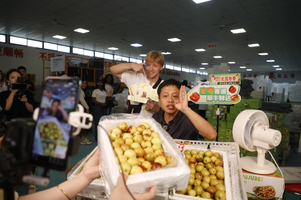 【外眼看中国】一颗冬枣的乡村振兴密码_fororder_图片7