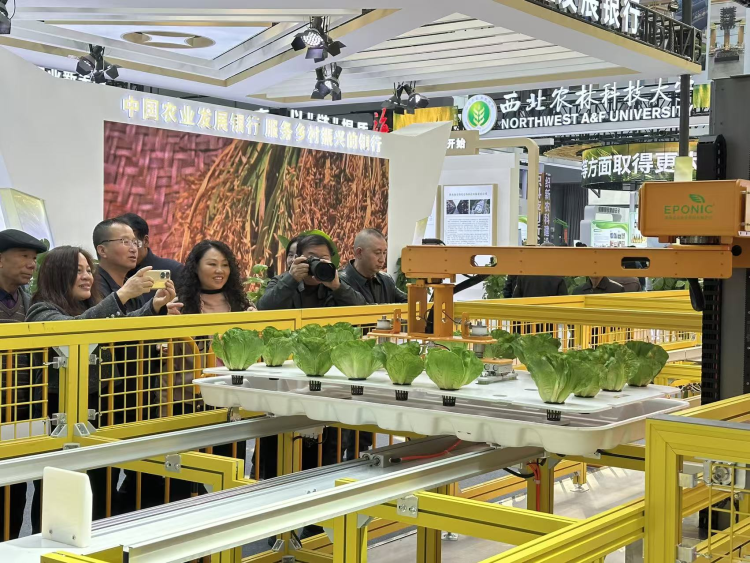 “黑科技”驱动农业变革 第32届杨凌农高会勾勒“未来农场”景观_fororder_图片3