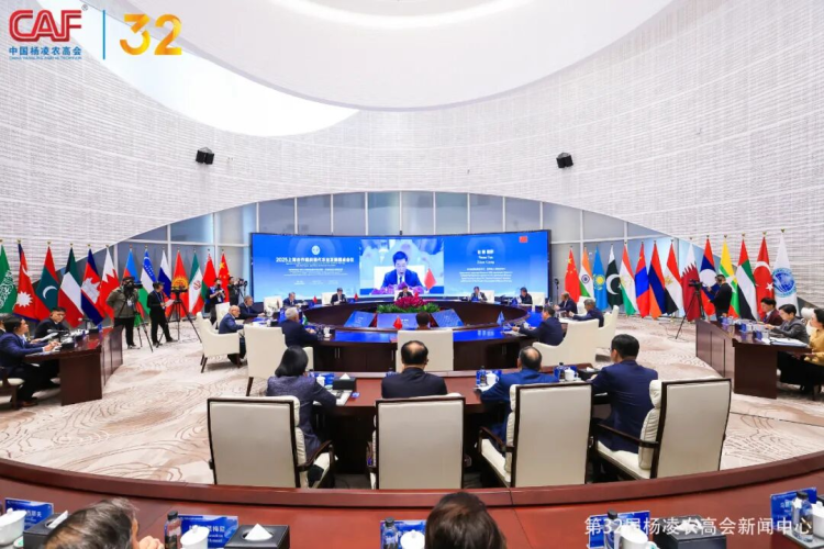 杨凌农高会:全球农业合作的“桥梁”_fororder_图片2