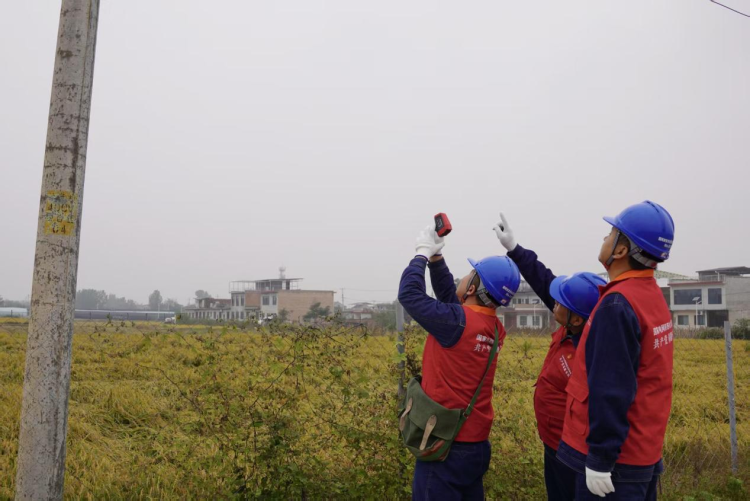 国网西安市长安区供电公司:助力水稻收割 “电”亮稻田丰收路_fororder_图片2