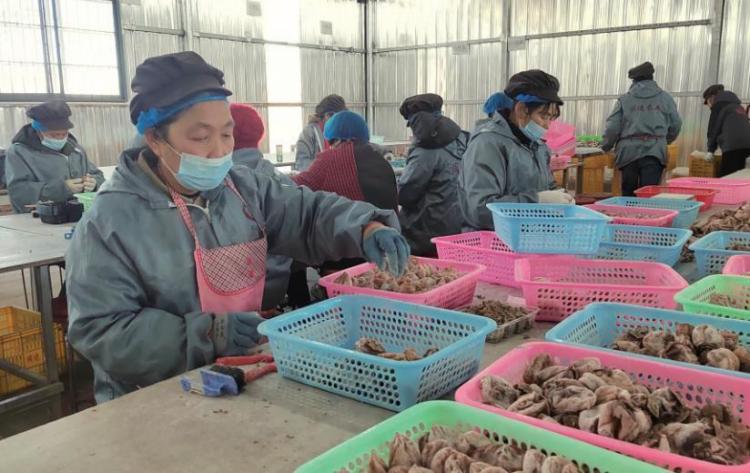 图片默认标题_fororder_微信图片_20260126083755_2814_127