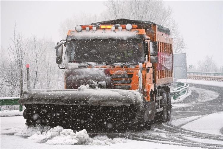 护来客 暖归途_fororder_微信图片_20260224115502_1224_356