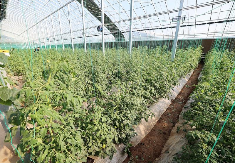 古都西安驭“新”前行