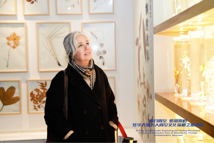 乡村分享、医疗座谈、妇女论坛 13国驻华大使夫人在西安关注了什么?_fororder_图片11