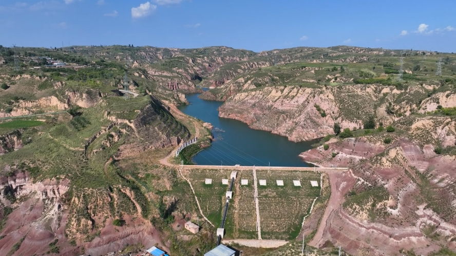 榆林府谷:候鸟逐年增多 生态稳中向好_fororder_图片2