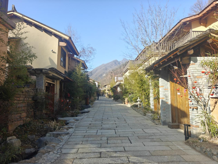 新春走基层丨从“绿水青山愁”到“生态富村乐” 商洛市柞水县朱家湾村的生态致富路_fororder_图片2