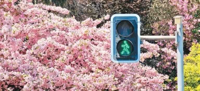 今天,你“Color Walk”了吗?_fororder_微信图片_20260402091110_1597_356