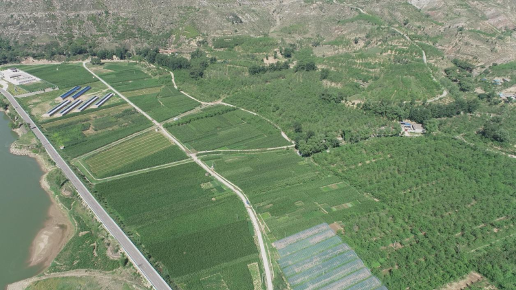 榆林府谷:打好污染防治攻坚战 绘就黄河“金三角”生态新图景_fororder_图片3