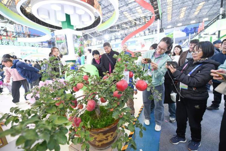 在农高会 看见田野上的创新图景