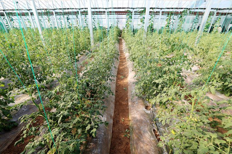 古都西安驭“新”前行