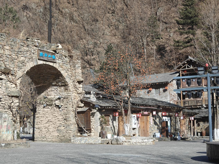 新春走基层丨从“绿水青山愁”到“生态富村乐” 商洛市柞水县朱家湾村的生态致富路_fororder_图片1