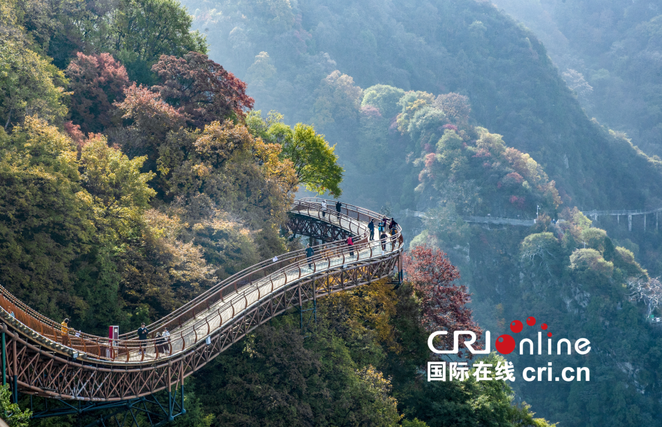 【至“陕”至美】少华秋色“醉”游人_fororder_图片4